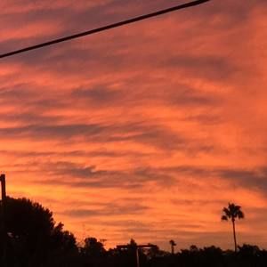 Meet your Posher, Frank emmanuel